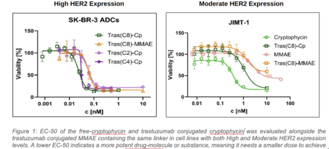 Preclinical results from Lantern's cryptophycin ADC (Cp-ADC) in HER2 expressing cancers in comparison with commercially available MMAE payload antibody-drug conjugates (ADCs). (Graphic: Business Wire)