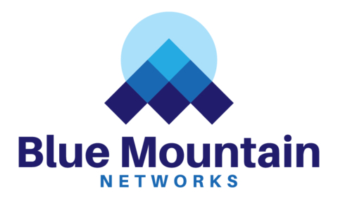 Blue Mountain Networks Logo
