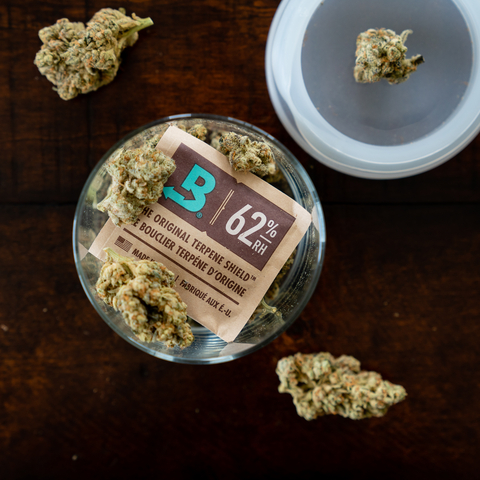 In a move that reaffirms its commitment to the preservation and storage of high-quality cannabis, Boveda Inc. today announced its support for the International Cannabis Quality Standards Association (ICQSA). (Photo: Business Wire)