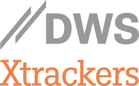 DWS Logo