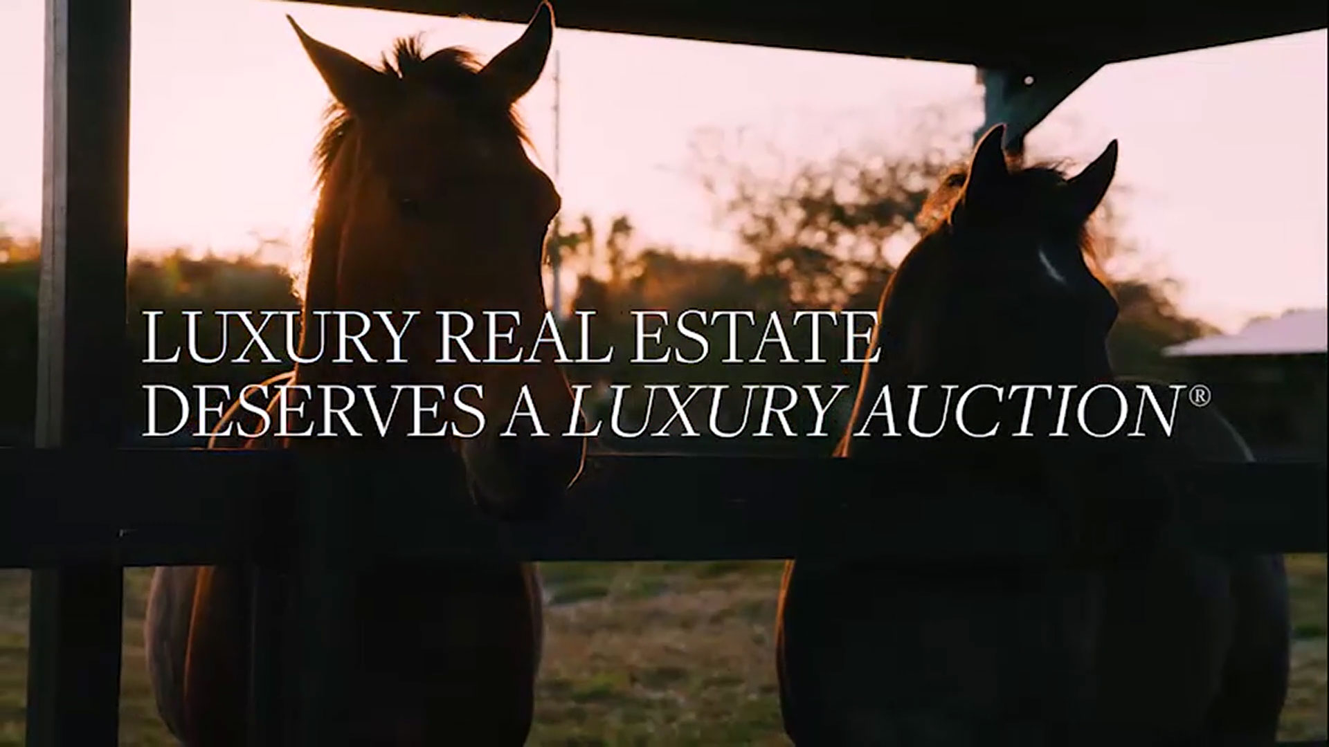 On March 9, 2024, these two, 5-acre parcels in the world-famous equestrian village of Wellington, Florida will be sold to the highest bidder at a luxury auction® without reserve. Together, the contiguous parcels create a 10.26-acre horse farm that includes a 150-ft x 250-ft arena, round pen, 18 stalls, and 8 paddocks, in addition to a residence and guesthouse. The parcels will be available separately or as one unit of sale. Platinum Luxury Auctions is exclusively managing the sale on behalf of the seller. WellingtonLuxuryAuction.com.