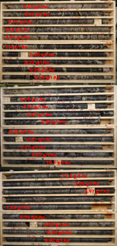 Figure 4. Core photos and individual assays comprising the intercept of 25.00m at 16.5g/t Au in hole #124019