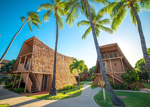 original Under Life House management, Hotel Moloka'i has already seen a 124% increase in hotel NOI. (Photo: Business Wire)