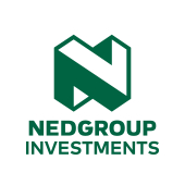 Nedgroup Investments Logo