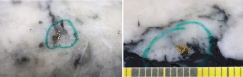 original Figure 1: Photos of mineralization from Left: at ~112.30m in NFGC-23-1323, Right: at 79.25m in NFGC-23-1766 ^Note that these photos are not intended to be representative of gold mineralization in NFGC-23-1323 and NFGC-23-1766. (Photo: Business Wire)