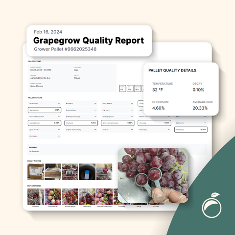 Example report and detail made available to fresh produce buyers to track and manage produce shipments in ProducePay's Visibility solution. (Photo: Business Wire)