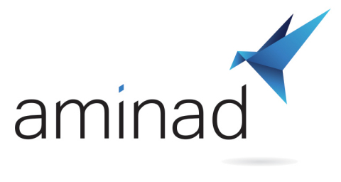 Aminad Consulting Logo