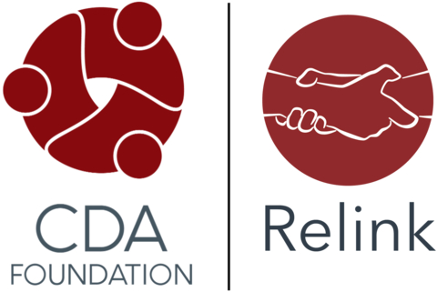 Center for Disease Analysis Foundation Logo