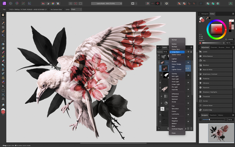 Affinity Photo Editor (Photo: Business Wire)
