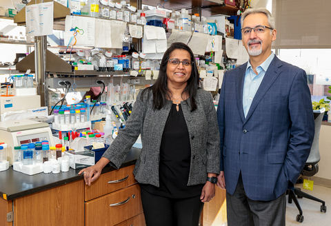 Drs. Sangeeta Chavan (left) and Valentin Pavlov (right) have been elected to the AIMBE College of Fellows for advancing the fields of medical and biological engineering. (Credit: Feinstein Institutes)
