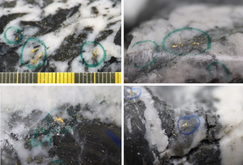 original Figure 1: Photos of mineralization from Left: at ~97.6m in NFGC-23-1730, Right: at 59.0m in NFGC-23-1941, Bottom Left: at ~63.3m in NFGC-23-1967, Bottom Right: at ~15.3m in NFGC-22-914 ^Note that these photos are not intended to be representative of gold mineralization in NFGC-22-914, NFGC-23-1730, NFGC-23-1941, and NFGC-23-1967. (Photo: Business Wire)