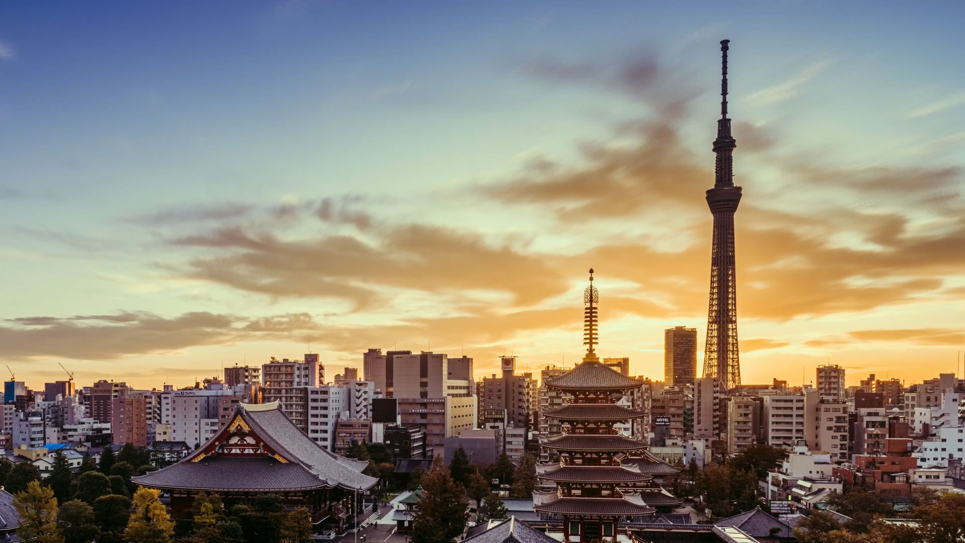 ISDA returns to Asia for its 38th Annual General Meeting in Tokyo on April 16-18, 2024. Don’t miss out – register today at http://agm.isda.org