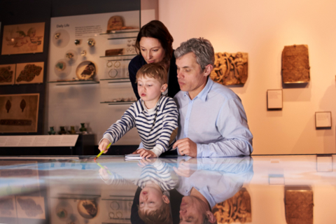 original Distinguished Programs Partners with Higginbotham as the Preferred Insurance Provider for the Texas Association of Museums. (Photo: Business Wire)