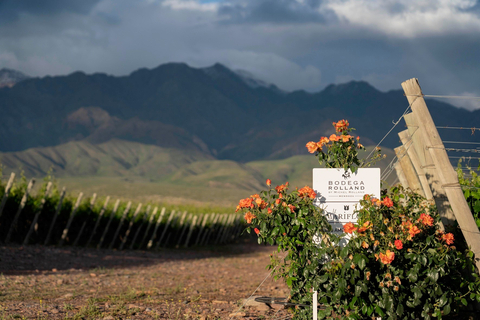 The Mariflor vineyard, part of the Bodega Rolland estate, is located at 3600 feet above sea level at the foot of the Andes Mountains. (Photo: Business Wire)