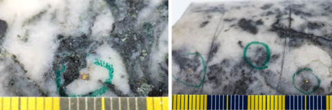 Figure 1: Photos of mineralization from Left: at ~224.5m in NFGC-23-1647, Right: at ~147.4m in NFGC-23-1883 ^Note that these photos are not intended to be representative of gold mineralization in NFGC-23-1647 and NFGC-23-1883. (Photo: Business Wire)