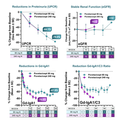 Figure 1. Povetacicept is Associated with Clinically Meaningful UPCR Reductions, Stable eGFR in IgA Nephropathy, and Reductions in Gd-IgA1 and Gd-IgA1/C3 Ratio (Graphic: Business Wire)