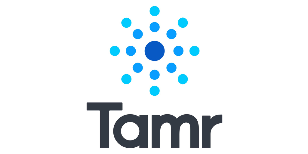 Tamr Sets New Data Standards for Generative AI in Google Marketplace