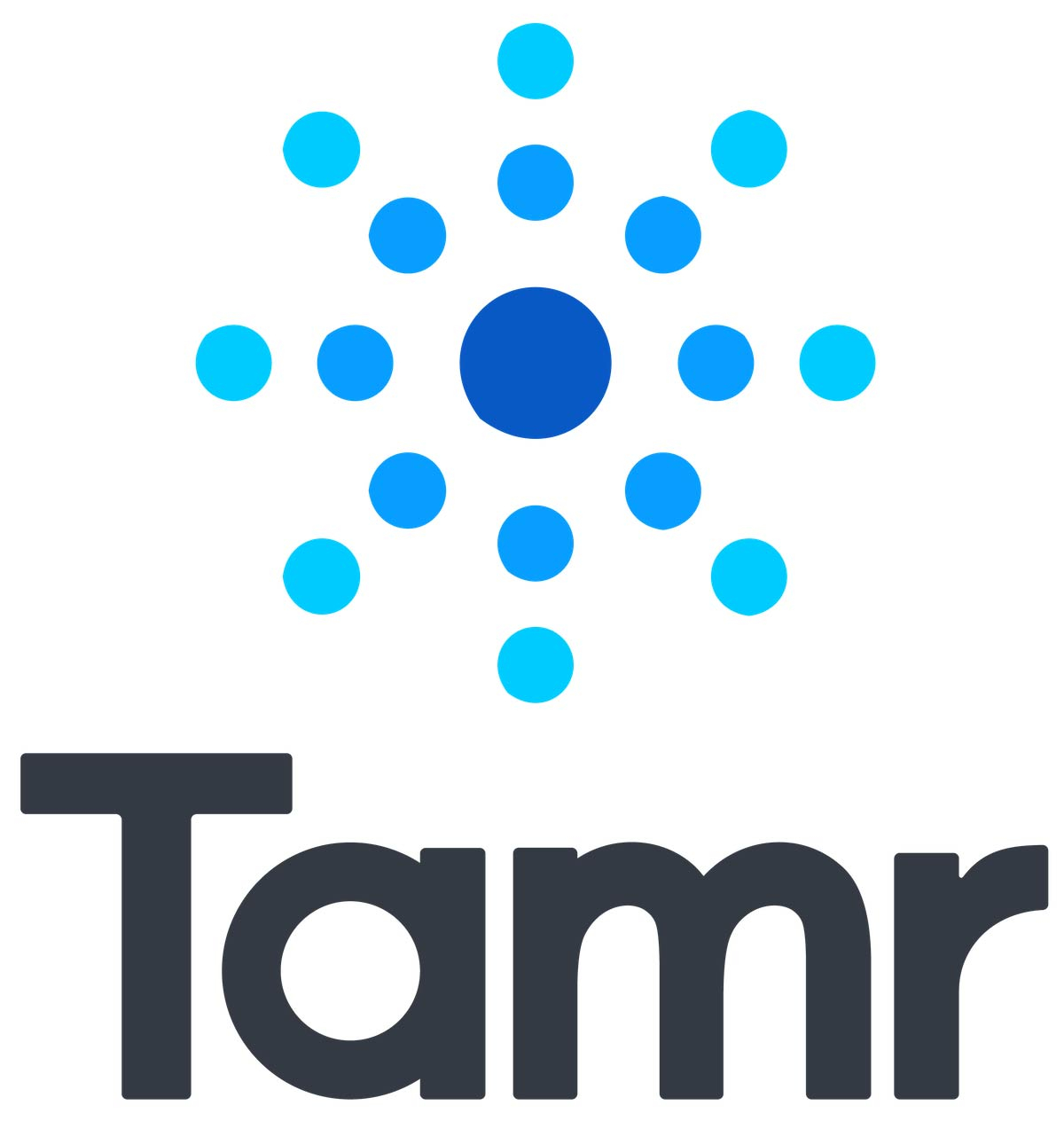 Tamr Sets New Data Standards for Generative AI in Google Marketplace