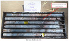 Figure 2: Section of drill core from Hole SCPL23-19 -- The wet drill core pictured here is predominantly chalcocite with minor malachite.. (Photo: Business Wire)