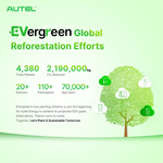  Successo per l'iniziativa globale di piantagione di alberi EVergreen per realizzare gli obiettivi ESG: piantati circa 5.000 alberi