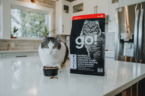 original Go! Solutions expands solutions-oriented premium pet food collection with new Go! Solutions Hairball Control and Urinary Care Chicken Recipe with Grains for Cats, available online and at select specialty retailers across Canada. (Photo: Petcurean)