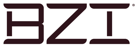 BZI Logo
