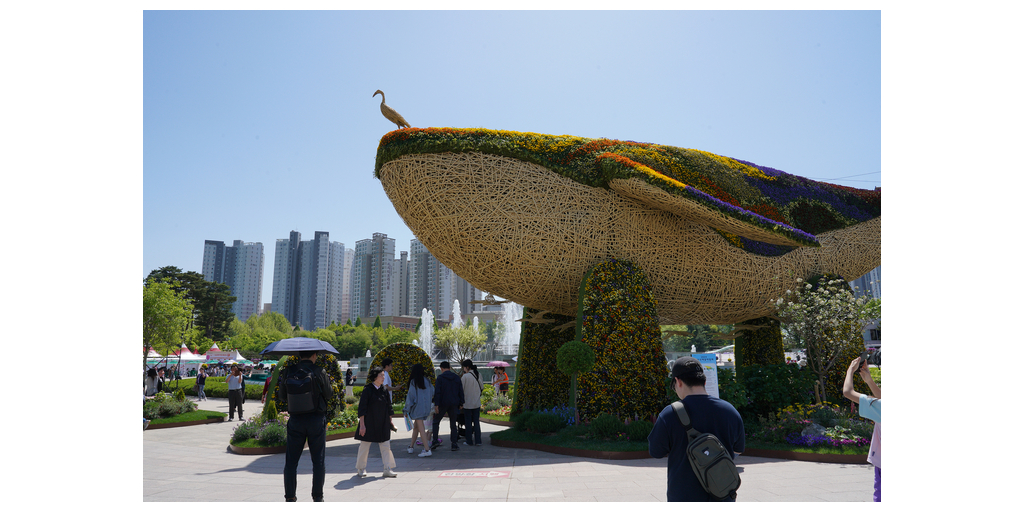 2024高陽国際花博覧会の開幕…「世界各国の花で飾られた華やかな祭典の中で」
