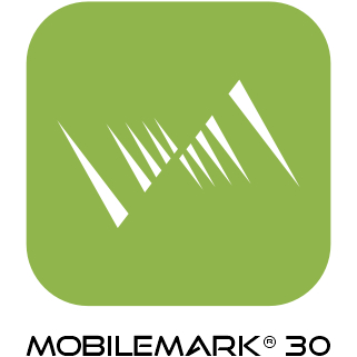 Business Applications Performance Corporation Logo