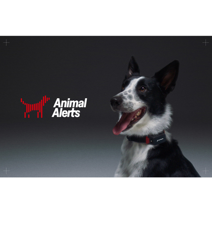 PetPace and Animal Alerts turn pet health data into early warning of earthquakes in Peru study. (Photo: Business Wire)
