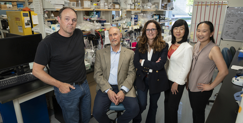 From left to right the laboratory team includes Mark LaBarge, Ph.D., professor of population sciences; John Termini, Ph.D., professor of cancer biology and molecular medicine; Nadia Carlesso, Ph.D., chair of stem cell biology and regenerative medicine; Yanhong Shi, Ph.D., chair of neurodegenerative diseases and Herbert Horvitz Professor in Neuroscience; June-Wha Rhee, M.D., assistant professor of cardiology. Not pictured is Michael Barish, Ph.D., professor of stem cell biology and regenerative medicine. (Photo: City of Hope)
