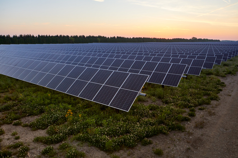 Fox Squirrel Solar in Madison County, Ohio. (Photo by Matt Reese)