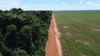 Regenerating degraded land in Cerrado Brazil (Photo: Business Wire)