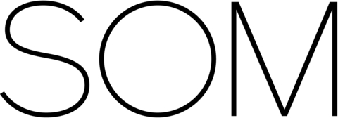 Energy Vault Holdings, Inc. Logo