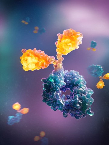 Image rendering of OmniAb?s OmnidAb?, a stabilized fully human heavy chain only single domain antibody (Graphic: Business Wire)