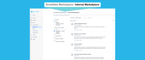 Snowflake-Internal-Marketplace_%281%29.jpg