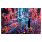 teamLab Borderless Jeddah | Il museo di arte digitale che ha segnato un record è stato aperto nel centro storico della città saudita di Gedda