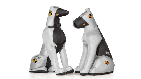 DASH 1.0 (left) and DUKE 3.0 (right) are Sleepypod's newest crash test dummy dogs that test the efficacy of car safety restraints for dogs. (Photo: Sleepypod)