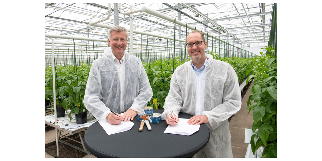 バイエルとソリンタが提携、小規模農家市場でのジャガイモ真正種子の拡大へ