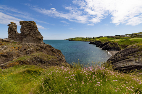 thumbnail County Wicklow (Photo: Business Wire)
