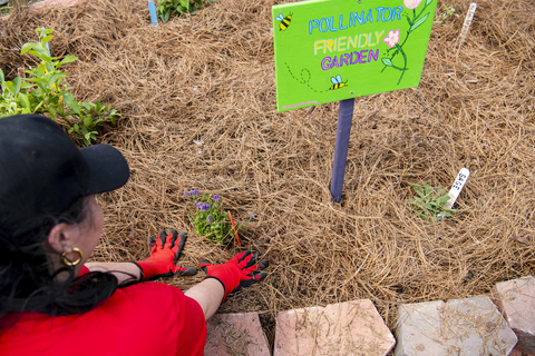 Southeastern Grocers reaffirms its commitment to pollinator health during National Pollinator Month. The grocer has supported pollinator-friendly initiatives across the Southeast, including a collaboration with Schoolyard Roots in Alabama to establish pollinator flower beds that provide educational opportunities for students. (Photo: Business Wire)