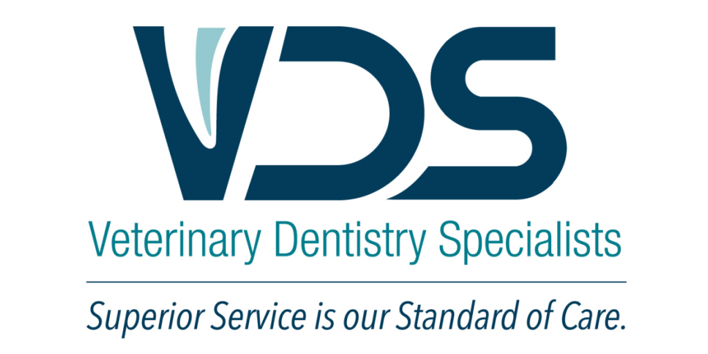 Veterinary Clinic Veterinary Dental Specialist Near Me Best Veterinary Dentists Near Me In Chennai Justdial