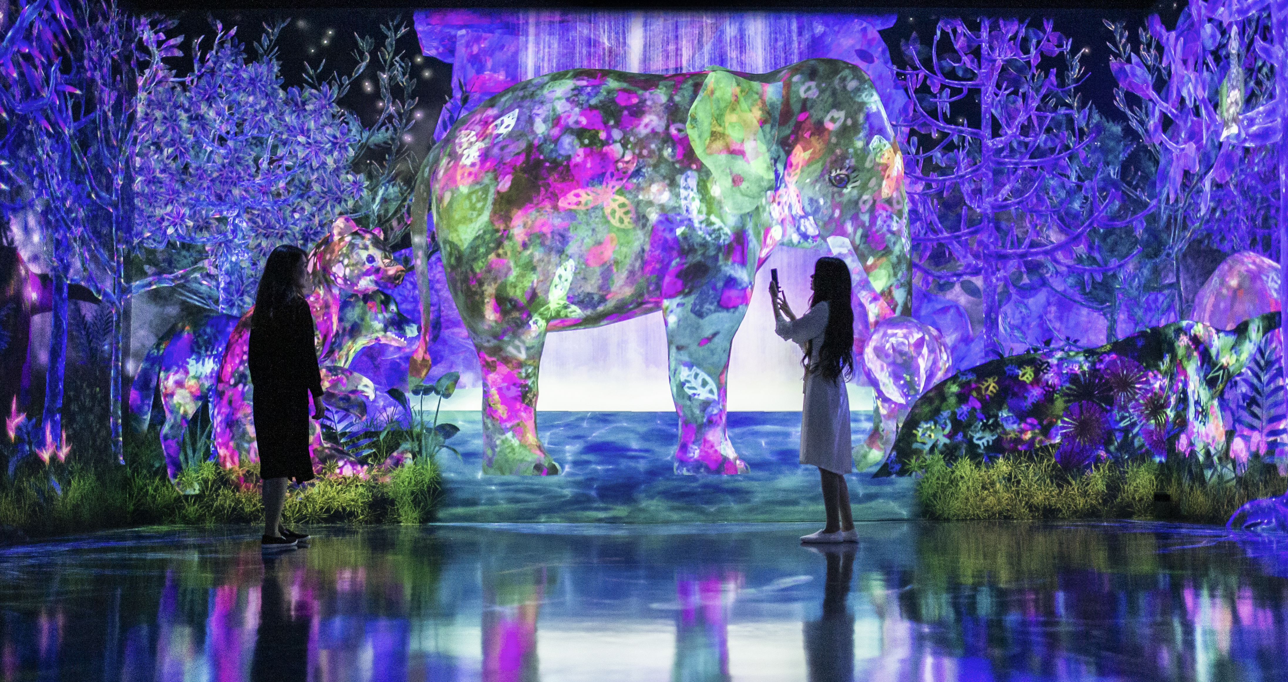 In early 2025, teamLab Planets will expand significantly with the addition of “Athletics Forest,” “Future Park,” and “Catching and Collecting Forest”. (teamLab, Reference video of “Catching and Collecting Forest” / Video: teamLab)