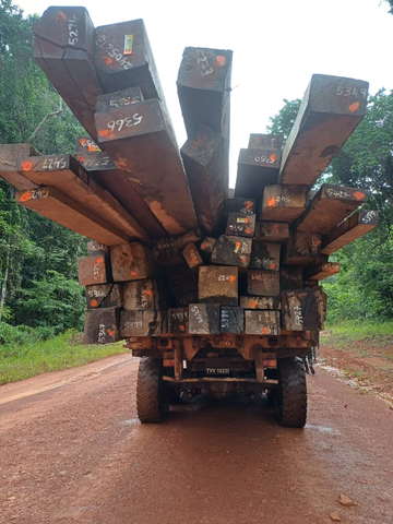 Holder Resources Inc's First Load of Sustainably Sourced Timber Headed to Market (Photo: Business Wire)
