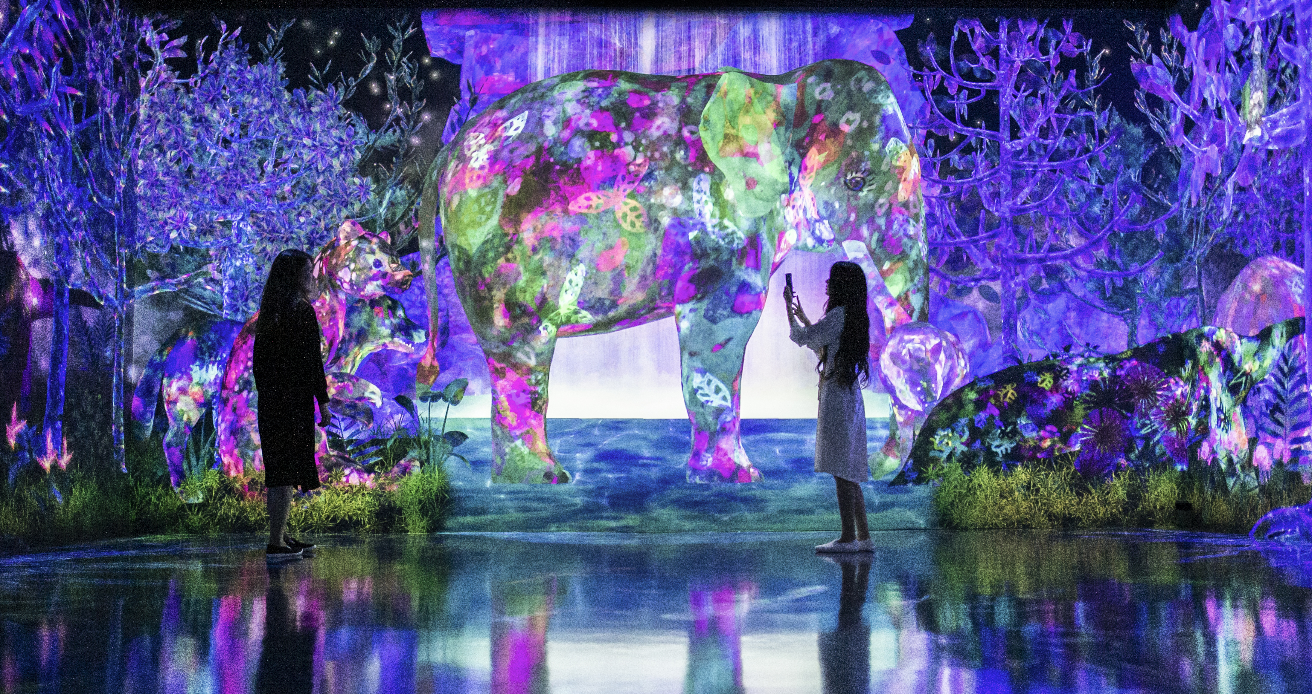 teamLab Planets將在2025年初隆重擴大規模，增添「運動森林」、「未來園」以及「捕捉並收集的森林」展區。（teamLab，「捕捉並收集的森林」參考短片／短片來源：teamLab）