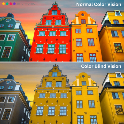 Depiction of red-green color blind and normal color vision views of colorful buildings in Amsterdam. (Photo: Business Wire)