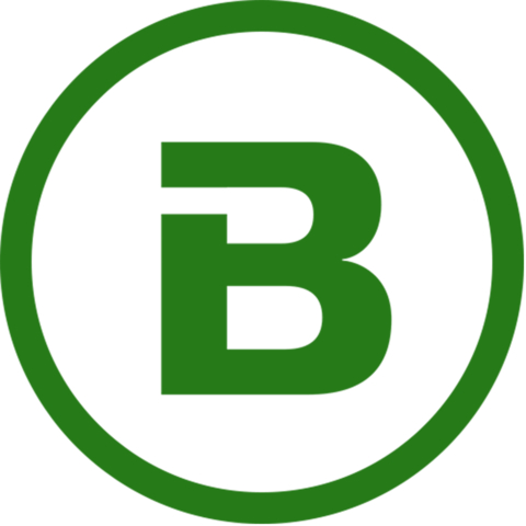 Best Innovation Group Logo