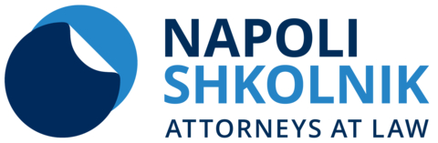 Napoli Shkolnik Logo