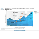  Freyr riconosciuto come Leader nella valutazione PEAK Matrix® 2024 di Everest Group