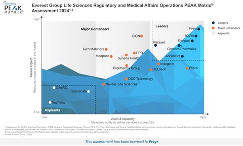 Everest Group Life Sciences and Medical Affairs Operations PEAK Matrix Assessment 2024 (Graphic: Business Wire)