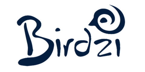 Birdzi Logo